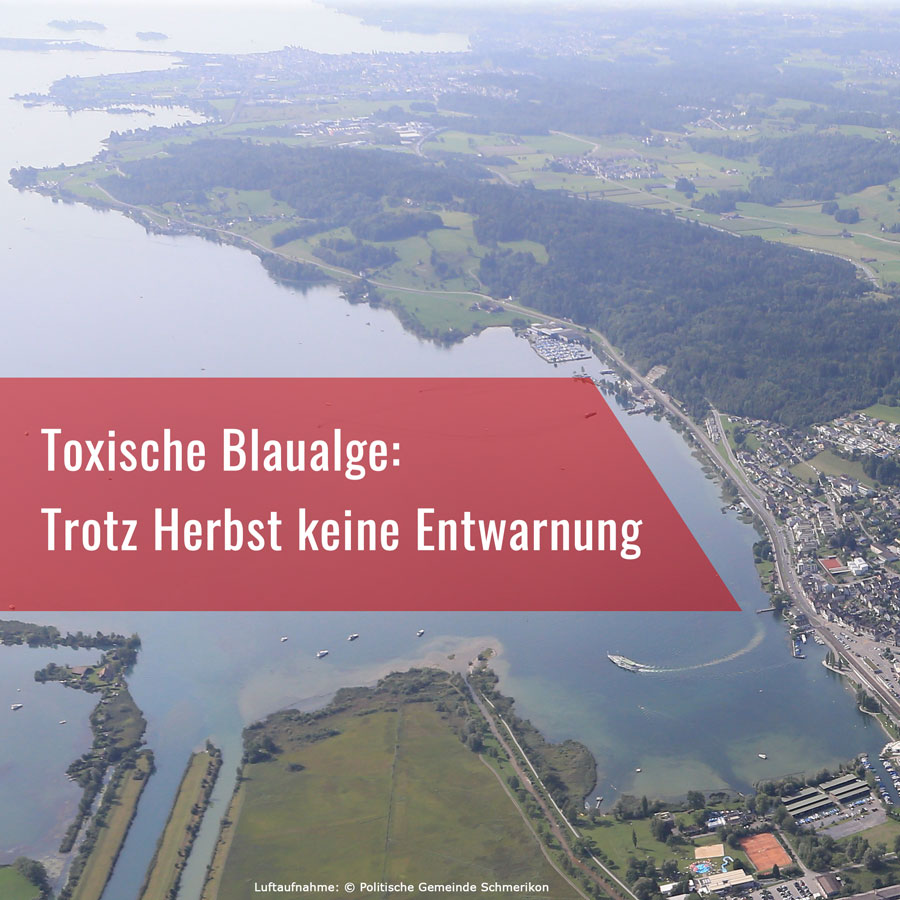 Luftaufnahme: © Politische Gemeinde Schmerikon