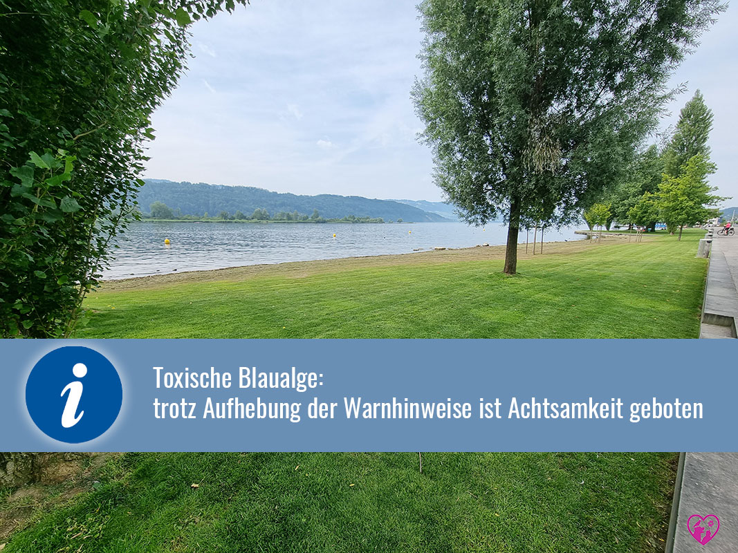 Hunde Schmerikon Blaualgen