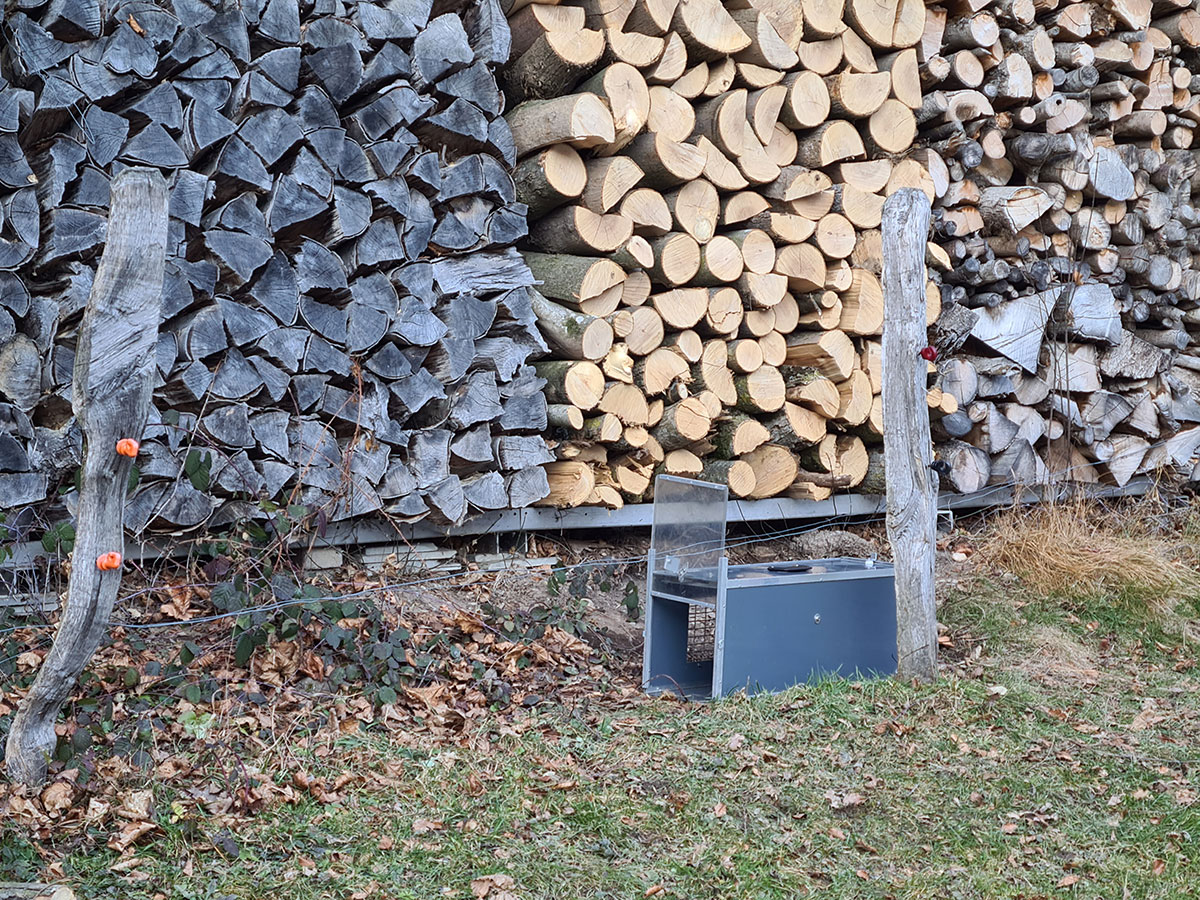 Tierschutz Einsatz