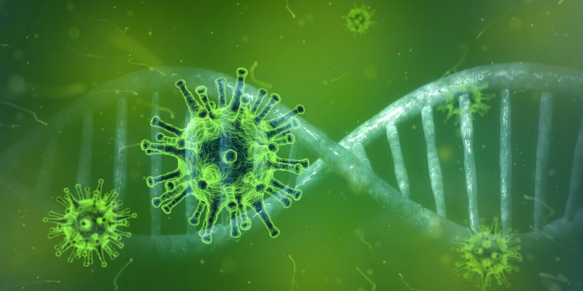 Coronavirus Haustiere